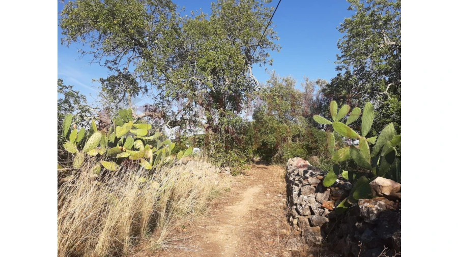 Terreno para Venda em Moncarapacho e Fuseta Foto 21
