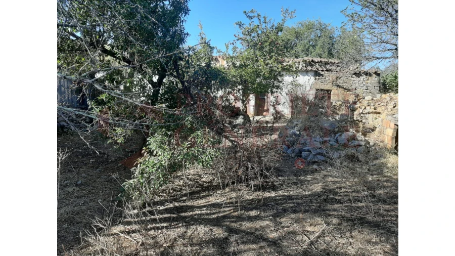Terreno para Venda em Moncarapacho e Fuseta Foto 23