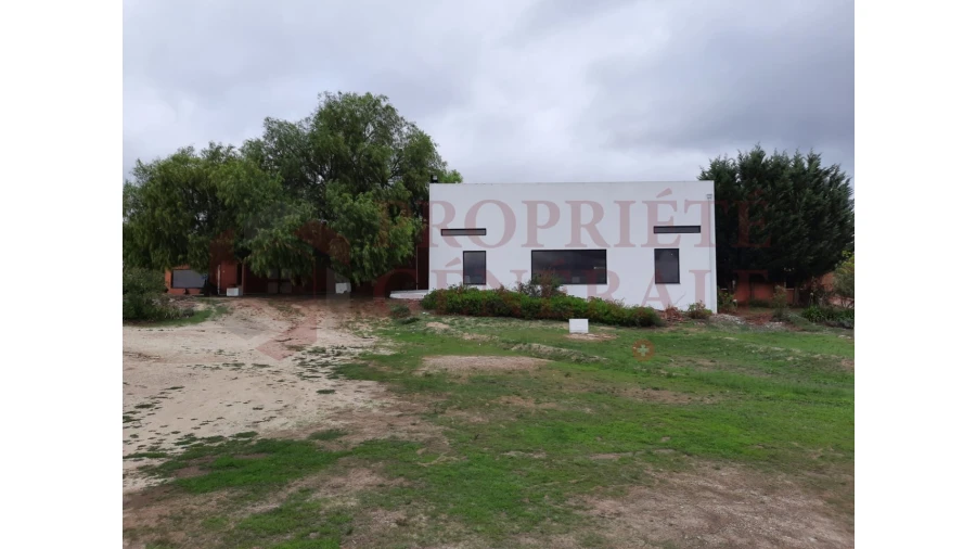 Quinta para Venda em Alpalhão Foto 9