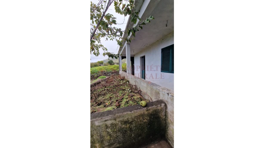 Moradia T2 para Venda em Estreito da Calheta Foto 10