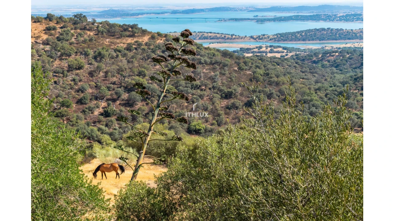 Quinta T2 para Venda em Caia, São Pedro e Alcáçova Foto 7