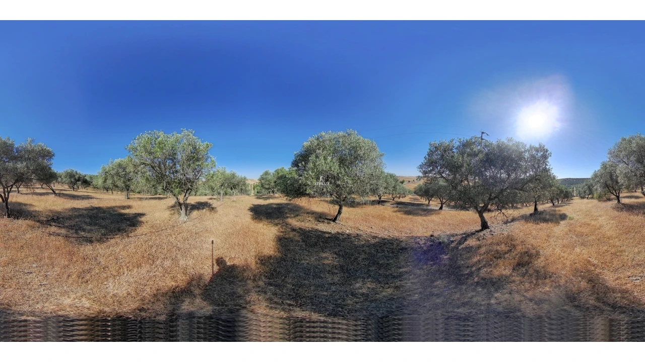 Quinta T2 para Venda em Caia, São Pedro e Alcáçova Foto 16