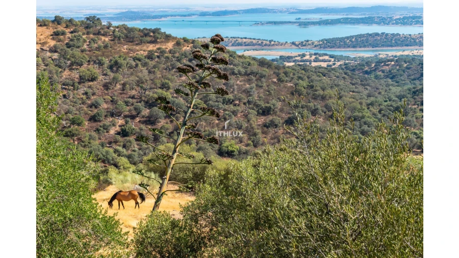 Quinta T2 para Venda em Caia, São Pedro e Alcáçova Foto 7