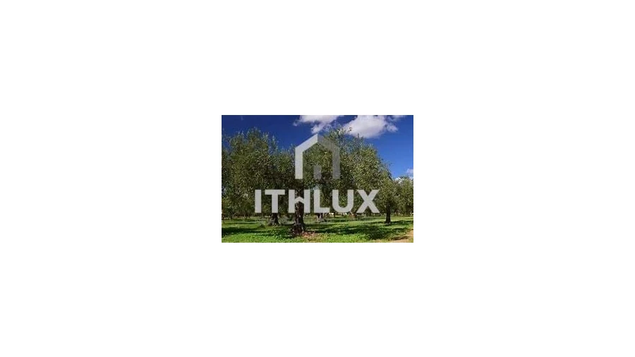 Quinta T2 para Venda em Caia, São Pedro e Alcáçova Foto 5