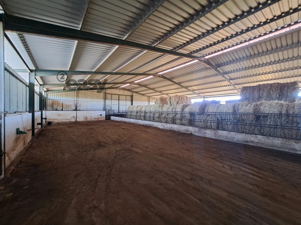 Quinta T1 para Venda em Selmes Foto 24