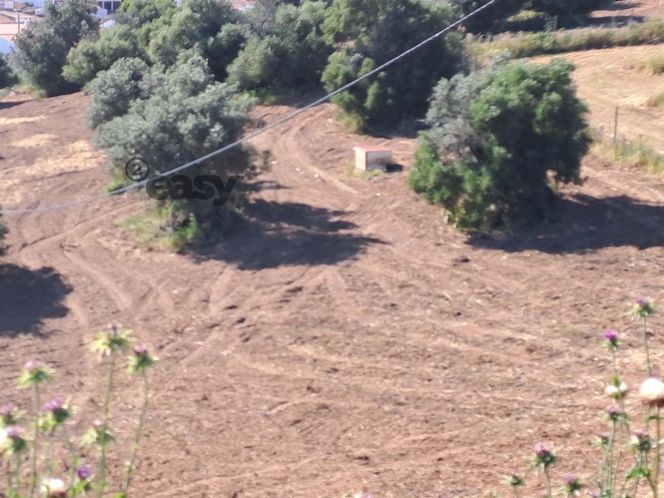 Quinta T1 para Venda em Selmes Foto 7