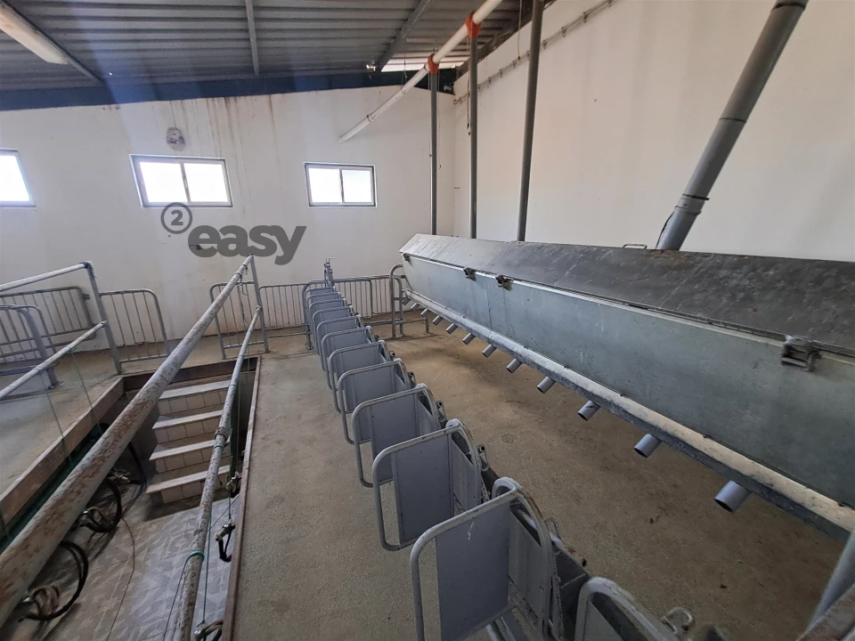 Quinta T1 para Venda em Selmes Foto 22