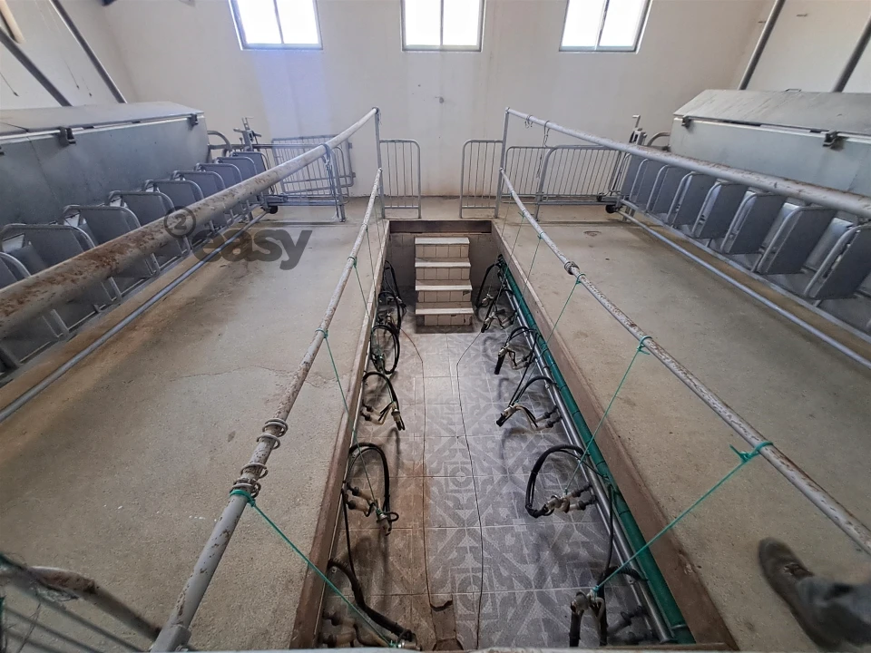 Quinta T1 para Venda em Selmes Foto 20