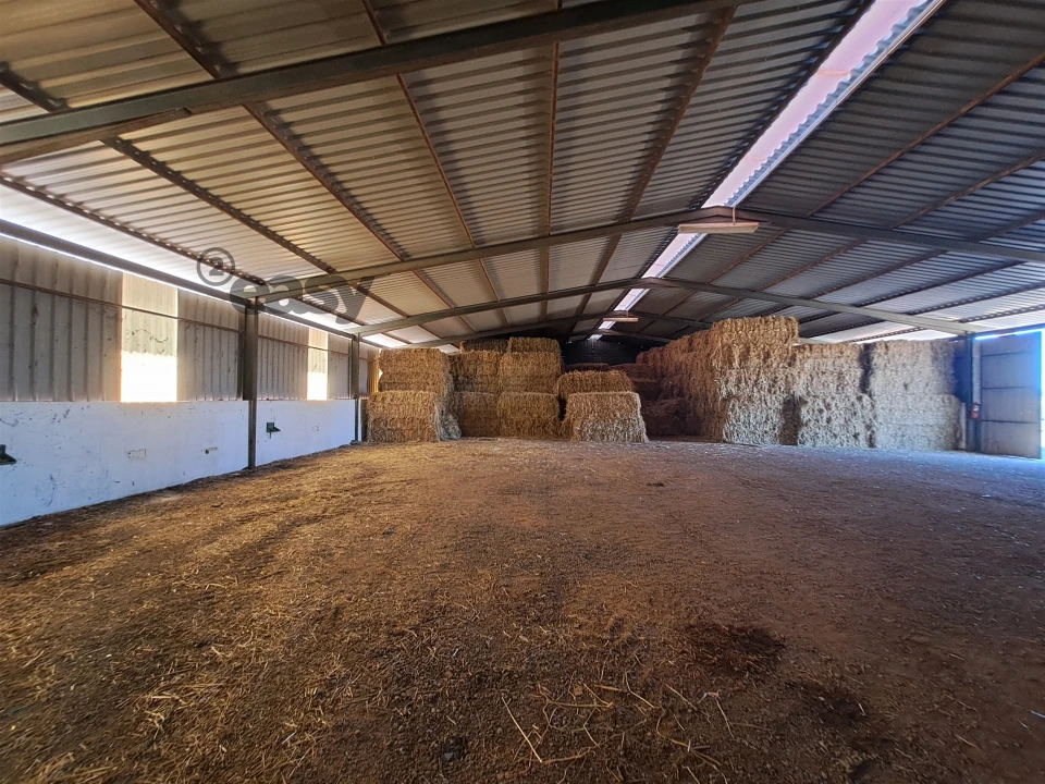 Quinta T1 para Venda em Selmes Foto 4