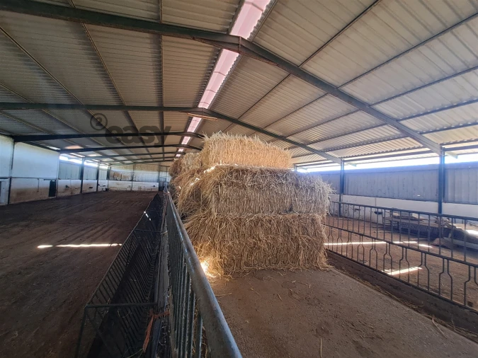 Quinta T1 para Venda em Selmes Foto 27