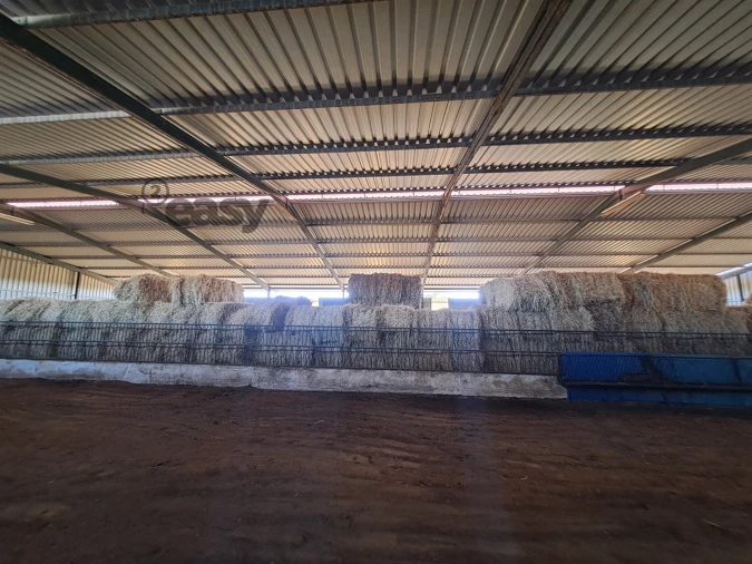 Quinta T1 para Venda em Selmes Foto 26