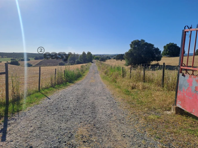 Quinta T1 para Venda em Selmes