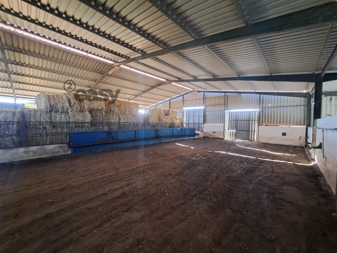 Quinta T1 para Venda em Selmes Foto 23