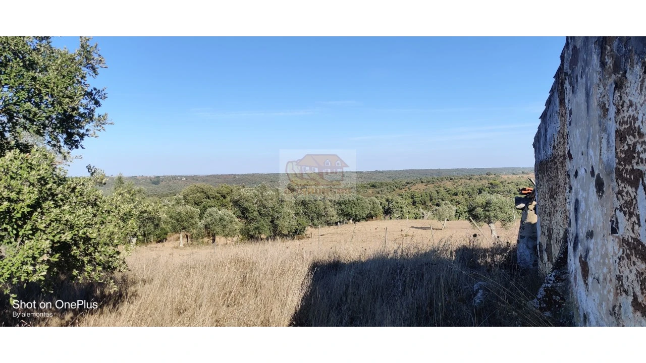 Terreno Misto para Venda em Grândola e Santa Margarida da Serra Foto 4