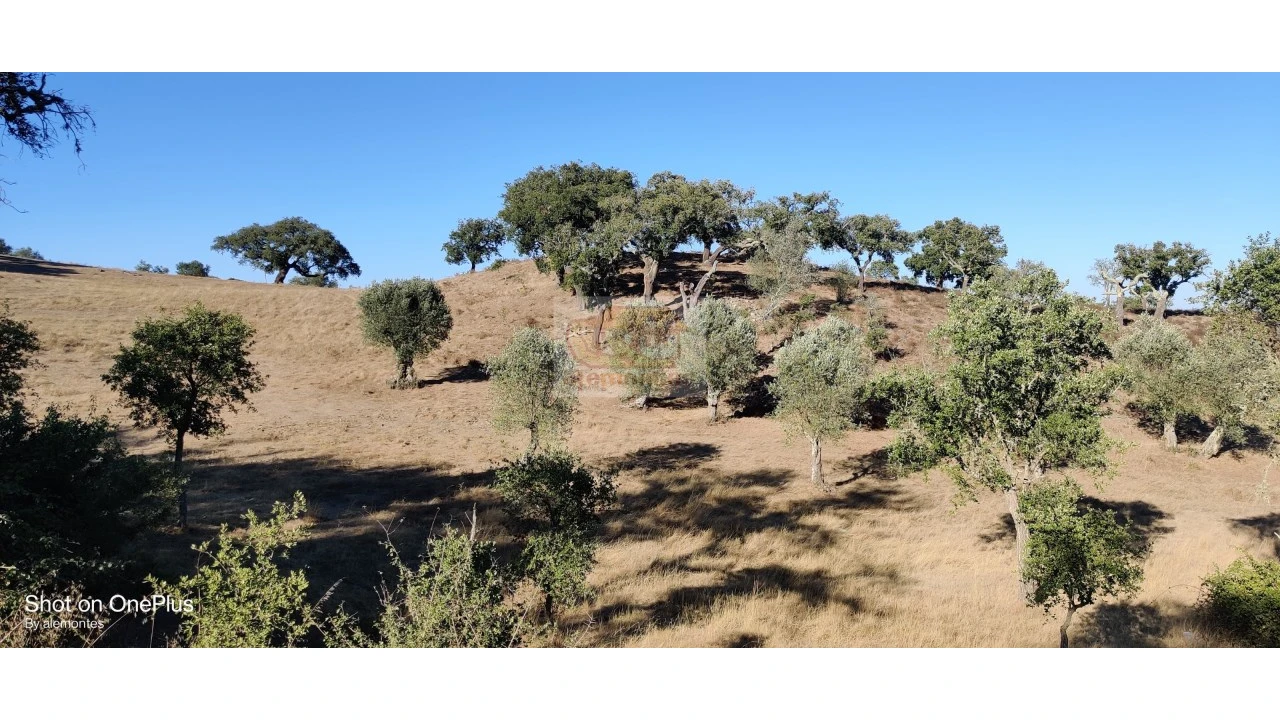Terreno Misto para Venda em Grândola e Santa Margarida da Serra Foto 3