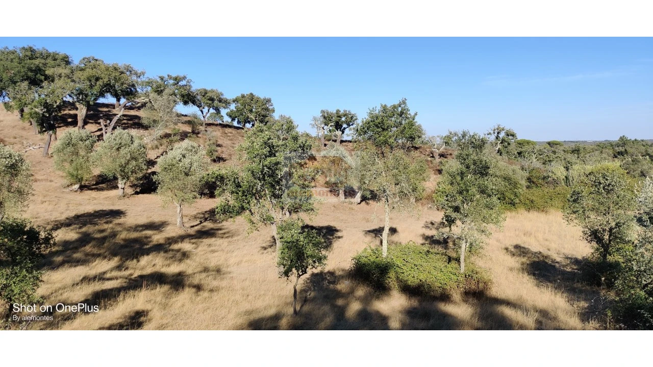 Terreno Misto para Venda em Grândola e Santa Margarida da Serra Foto 10