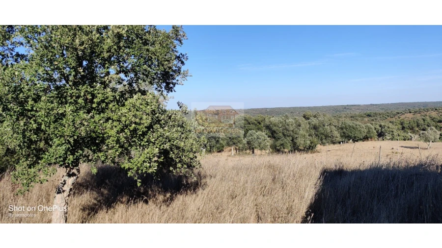 Terreno Misto para Venda em Grândola e Santa Margarida da Serra Foto 6
