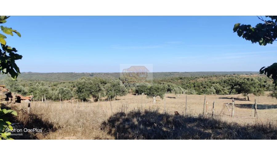 Terreno Misto para Venda em Grândola e Santa Margarida da Serra Foto 8