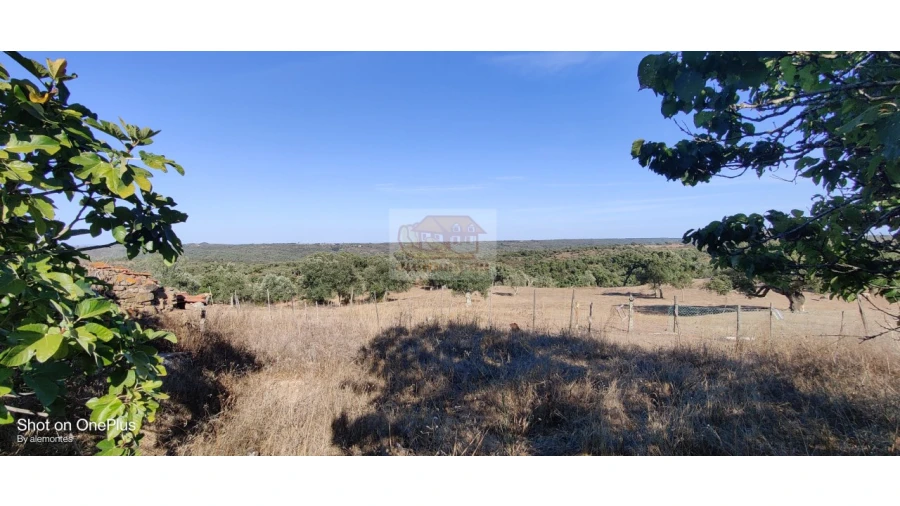 Terreno Misto para Venda em Grândola e Santa Margarida da Serra Foto 9
