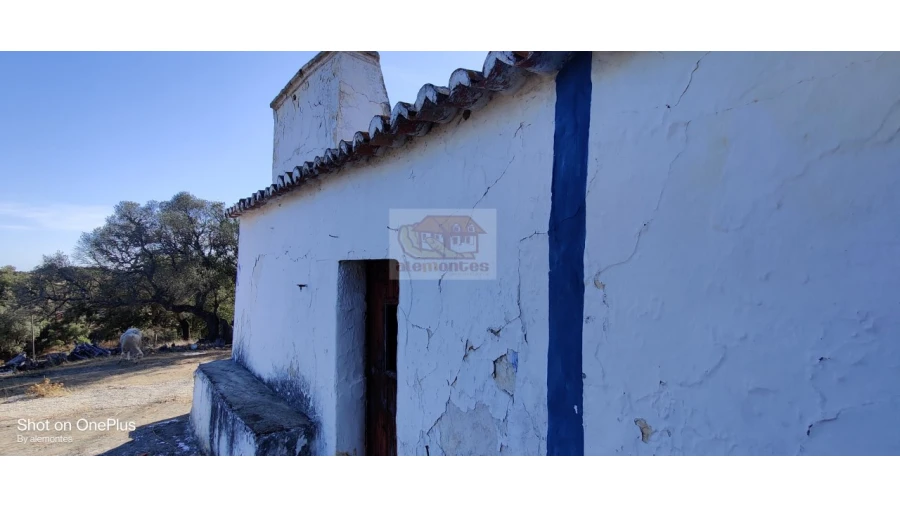Terreno Misto para Venda em Grândola e Santa Margarida da Serra Foto 5