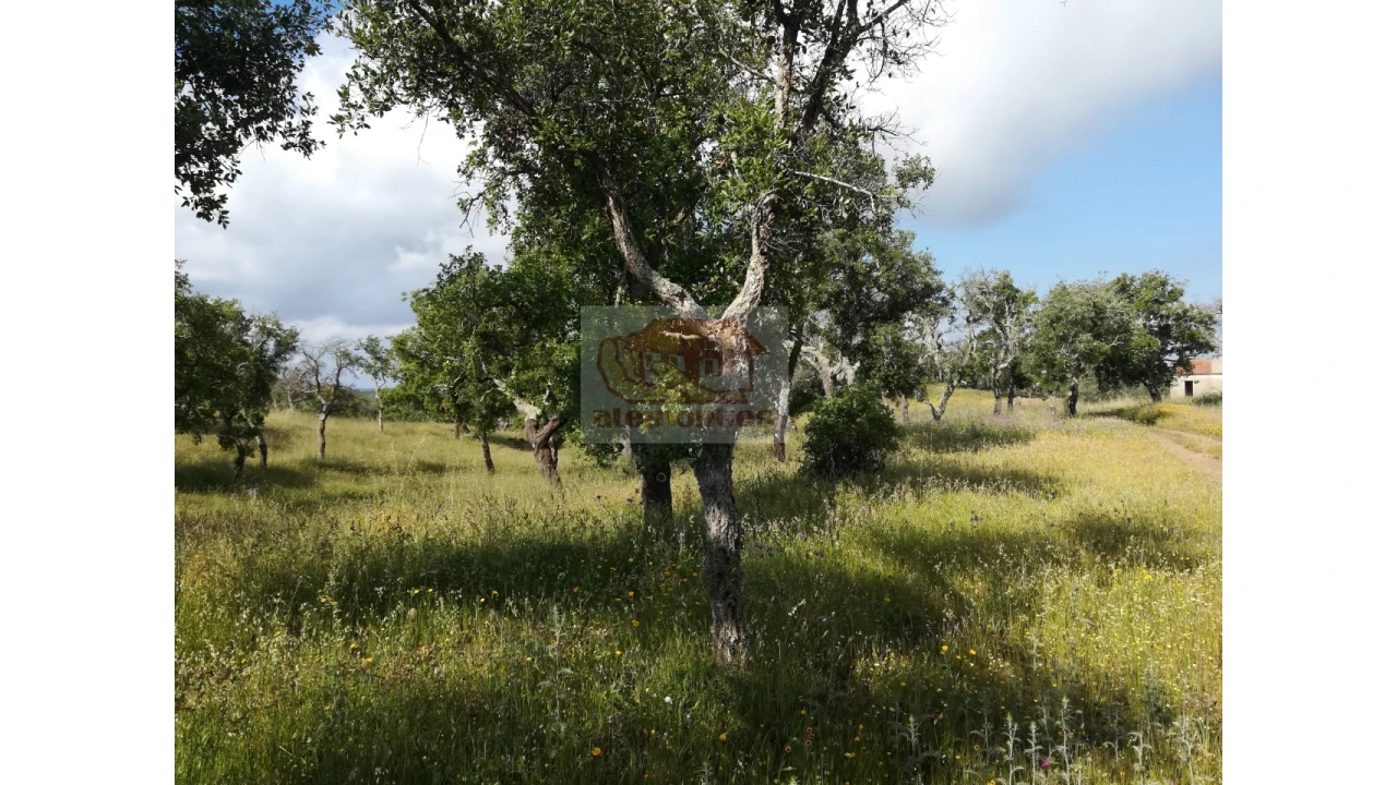 Terreno Misto para Venda em Melides Foto 3