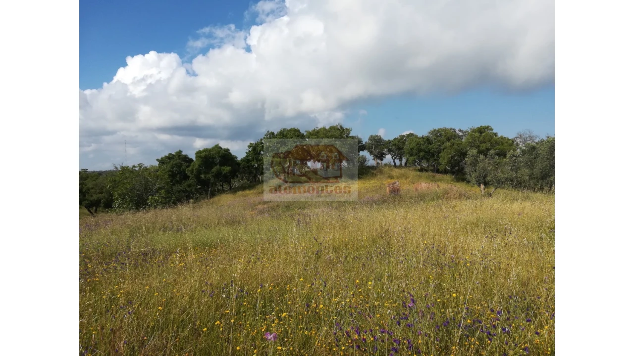 Terreno Misto para Venda em Melides Foto 5