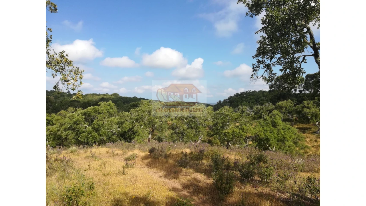 Terreno Misto para Venda em Melides Foto 11