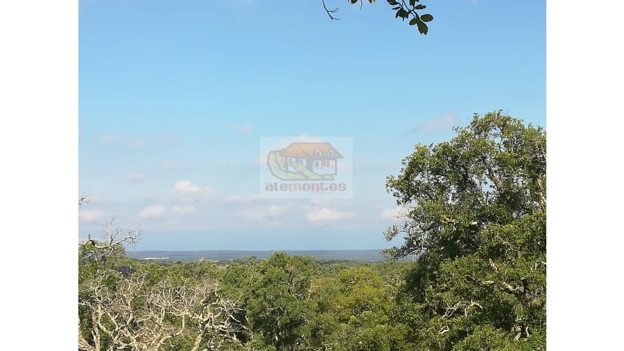 Terreno Misto para Venda em Melides Foto 1