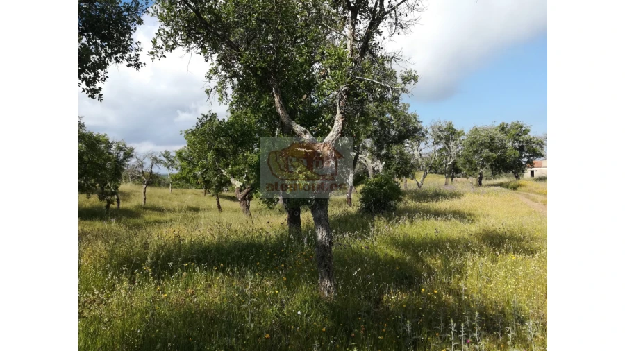 Terreno Misto para Venda em Melides Foto 3