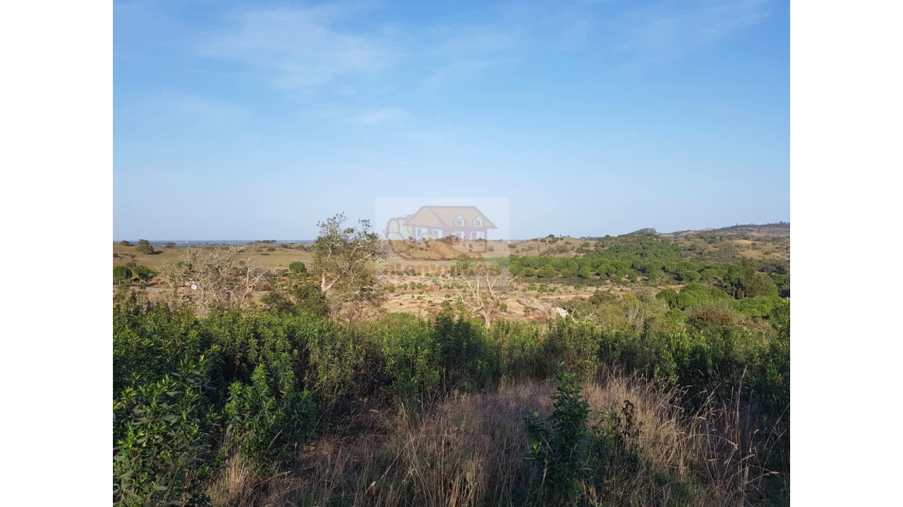 Terreno Agricola ou Rústico para Venda em Grândola e Santa Margarida da Serra Foto 3