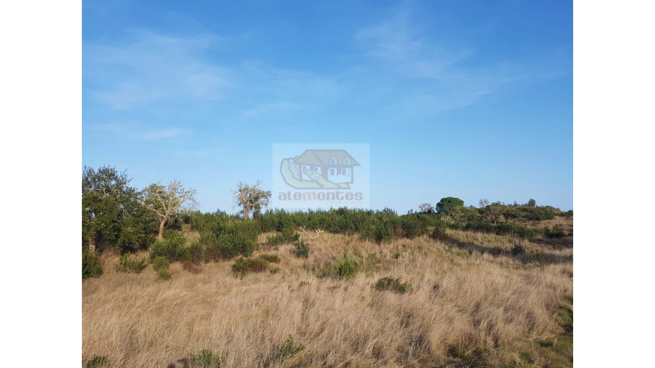 Terreno Agricola ou Rústico para Venda em Grândola e Santa Margarida da Serra Foto 7