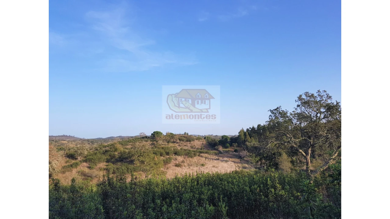 Terreno Agricola ou Rústico para Venda em Grândola e Santa Margarida da Serra Foto 8