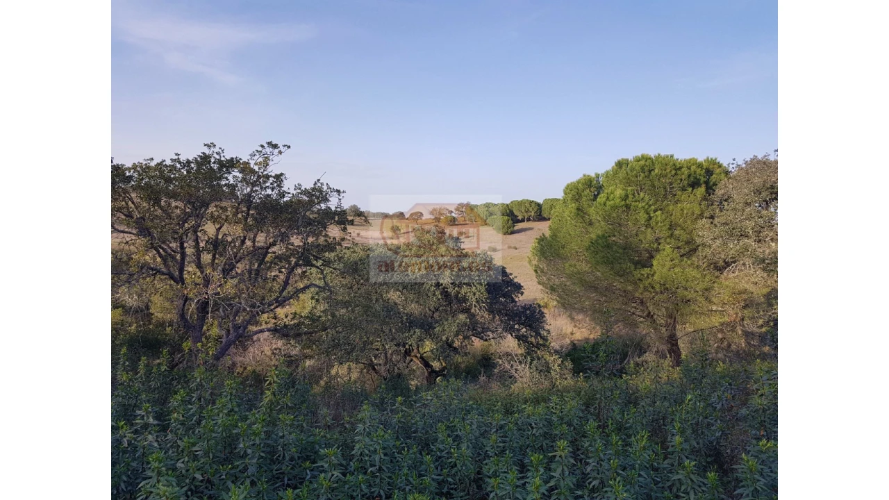 Terreno Agricola ou Rústico para Venda em Grândola e Santa Margarida da Serra Foto 9