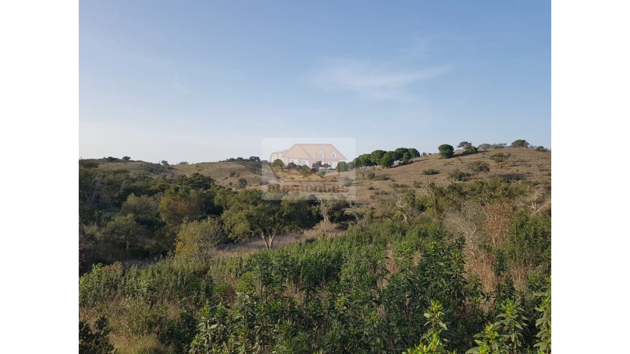 Terreno Agricola ou Rústico para Venda em Grândola e Santa Margarida da Serra Foto 10