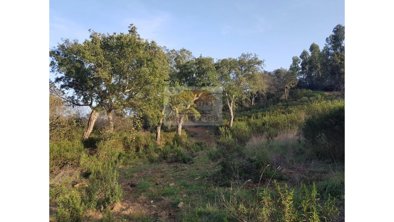 Terreno Agricola ou Rústico para Venda em Grândola e Santa Margarida da Serra Foto 11