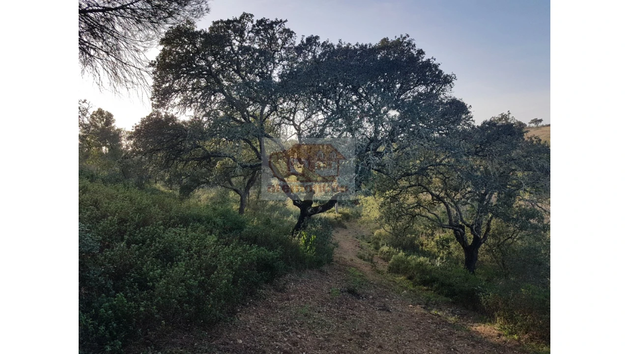 Terreno Agricola ou Rústico para Venda em Grândola e Santa Margarida da Serra Foto 12