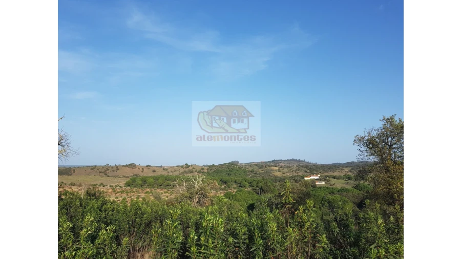 Terreno Agricola ou Rústico para Venda em Grândola e Santa Margarida da Serra Foto 2