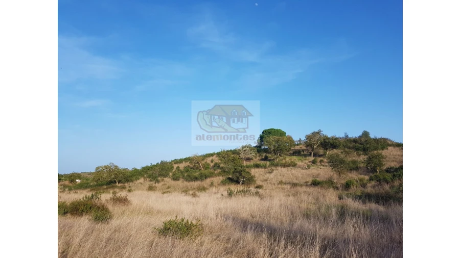 Terreno Agricola ou Rústico para Venda em Grândola e Santa Margarida da Serra Foto 1