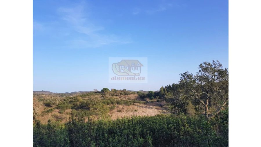 Terreno Agricola ou Rústico para Venda em Grândola e Santa Margarida da Serra Foto 8