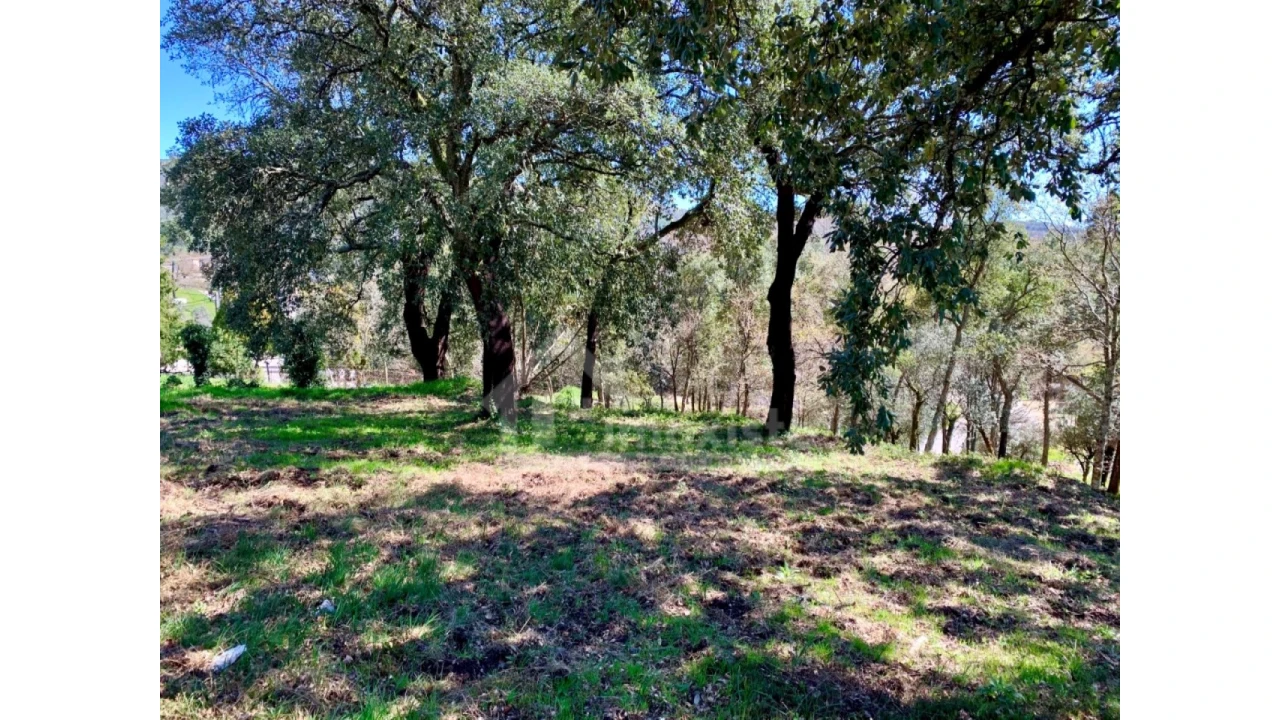 Terreno para Venda em Castanheira de Pêra e Coentral Foto 6