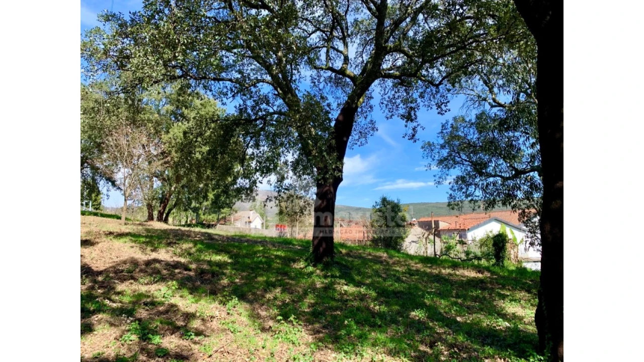 Terreno para Venda em Castanheira de Pêra e Coentral Foto 9