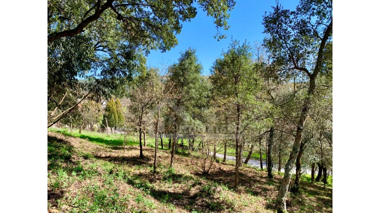 Terreno para Venda em Castanheira de Pêra e Coentral Foto 10