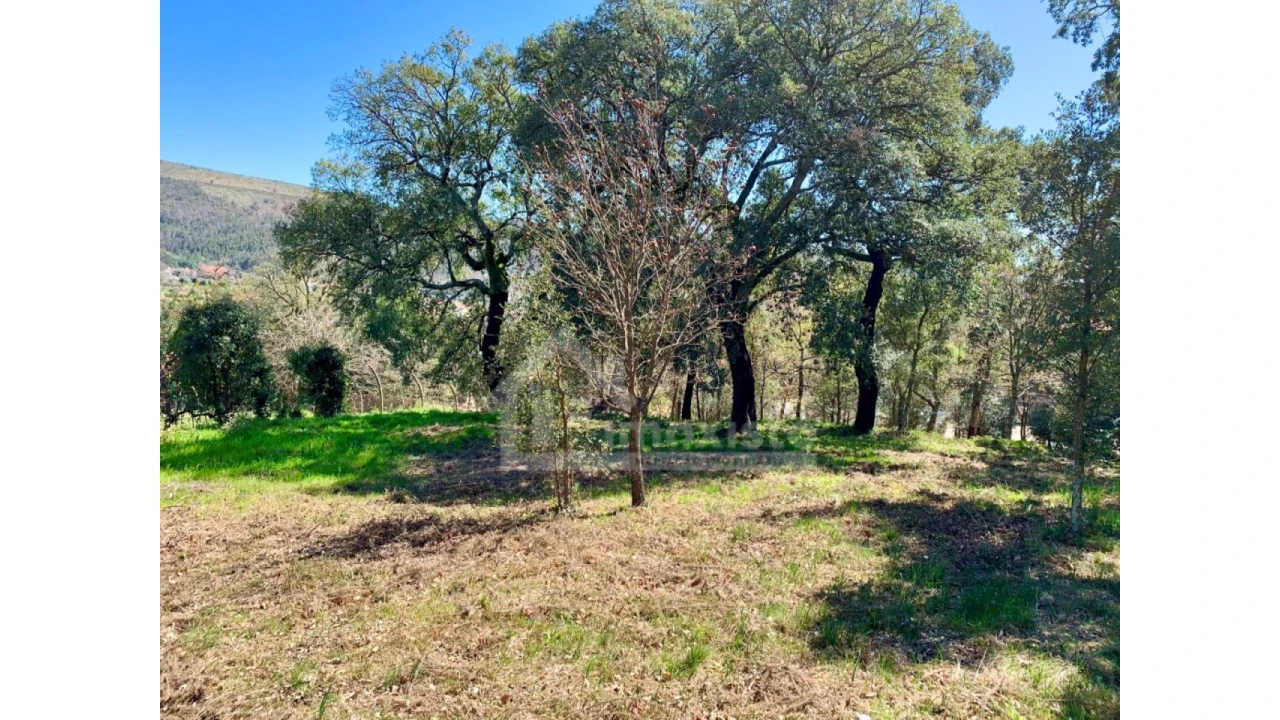 Terreno para Venda em Castanheira de Pêra e Coentral Foto 11