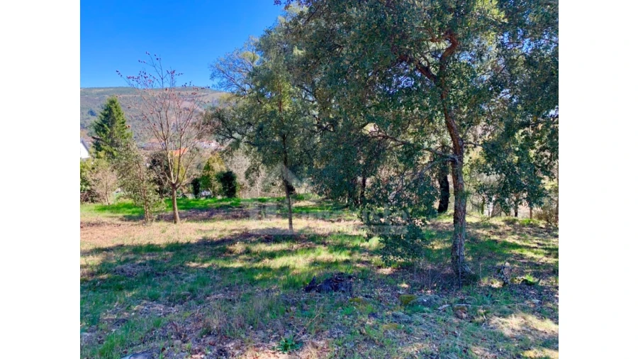 Terreno para Venda em Castanheira de Pêra e Coentral Foto 4