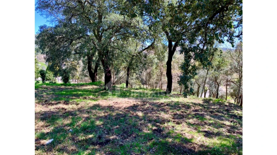 Terreno para Venda em Castanheira de Pêra e Coentral Foto 6