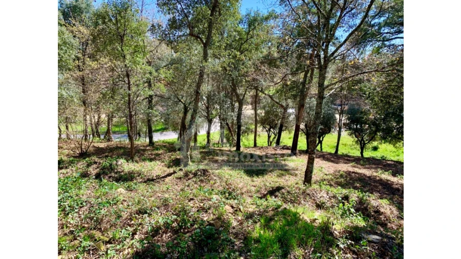 Terreno para Venda em Castanheira de Pêra e Coentral Foto 7