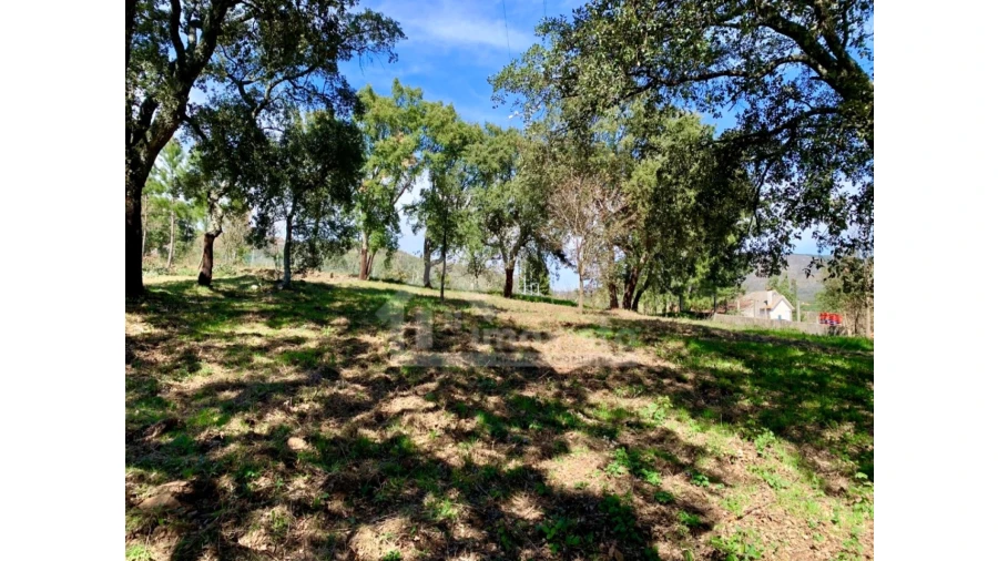 Terreno para Venda em Castanheira de Pêra e Coentral Foto 8