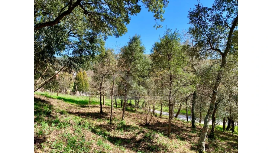 Terreno para Venda em Castanheira de Pêra e Coentral Foto 10