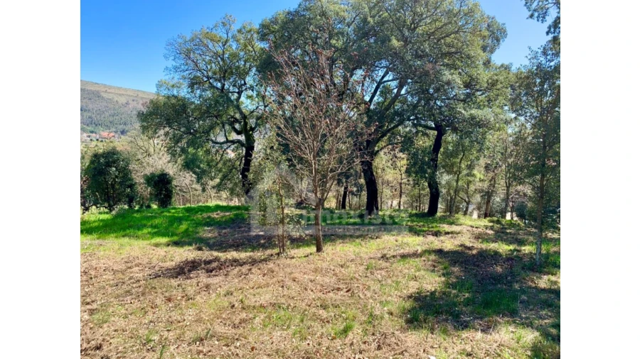 Terreno para Venda em Castanheira de Pêra e Coentral Foto 11