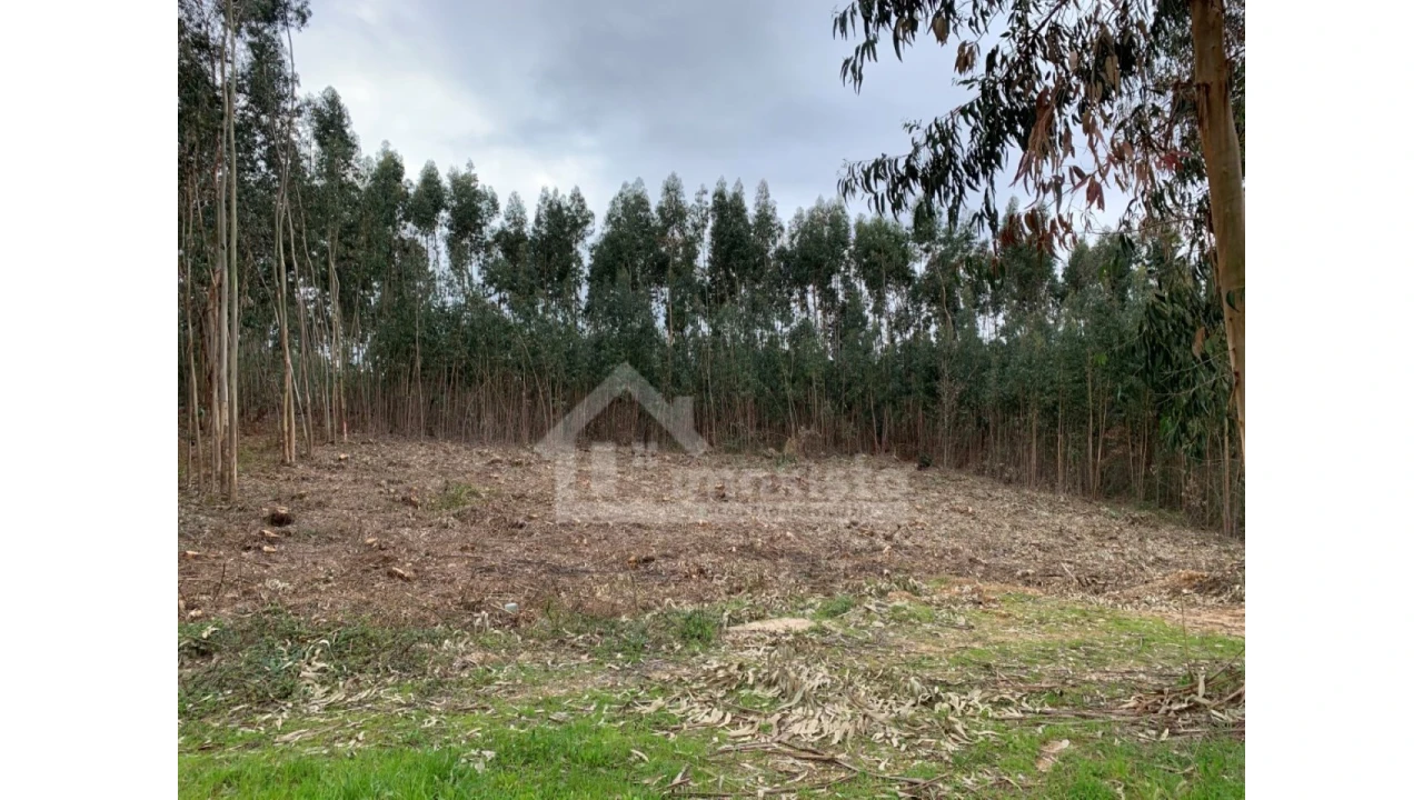 Terreno para Venda em Figueiró dos Vinhos e Bairradas Foto 1